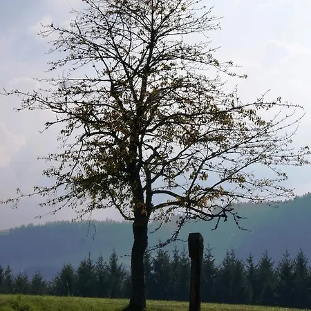 Ferienwohnung Tischneck Schramberg Zewnętrze zdjęcie