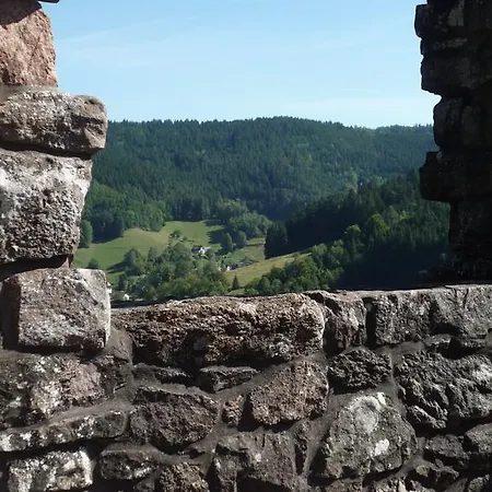Ferienwohnung Tischneck Schramberg Zewnętrze zdjęcie
